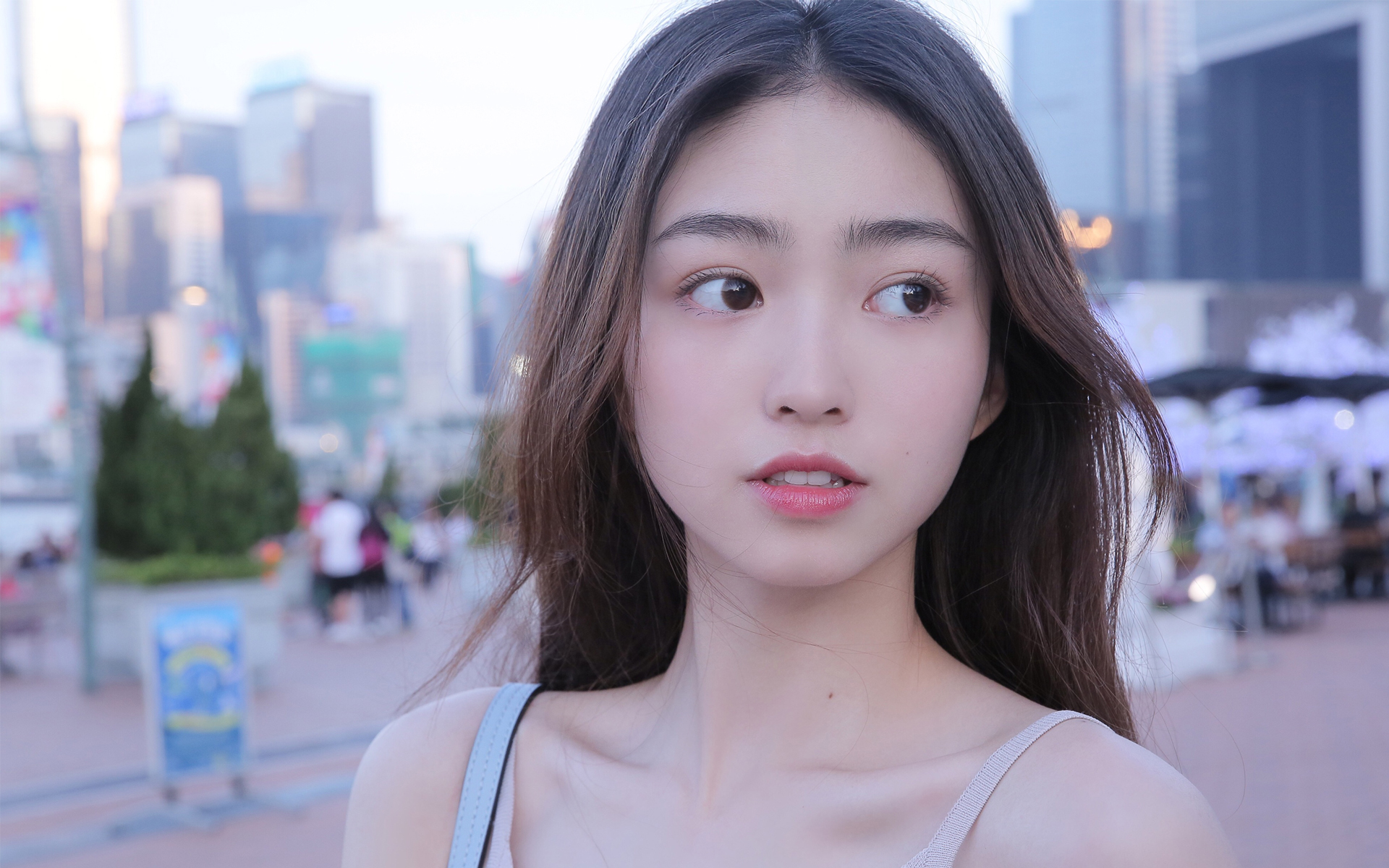 走访记录《老楼加梯》封面